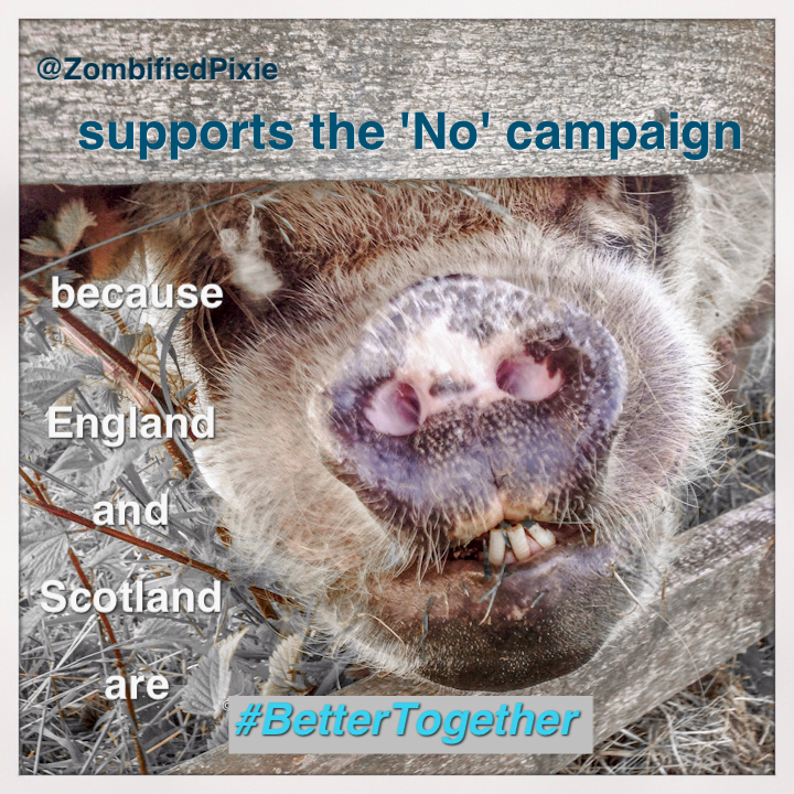 #BetterTogether - supporting the "No" campaign